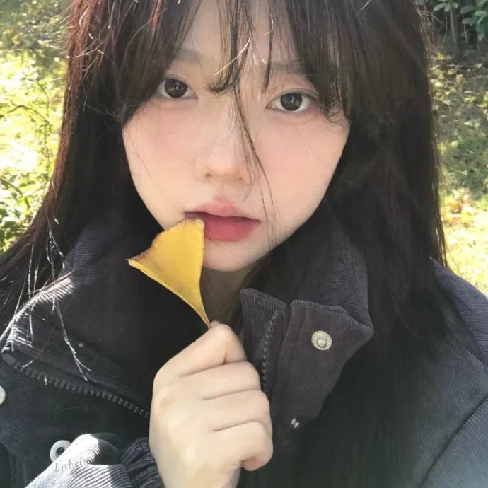 石头会说话